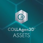 Collagen3D Assets